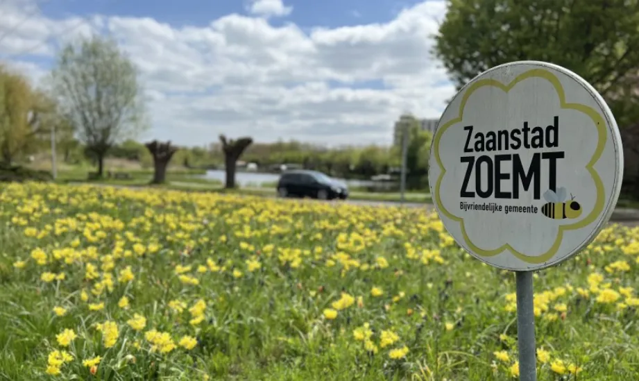 screenshot 20230509 131323