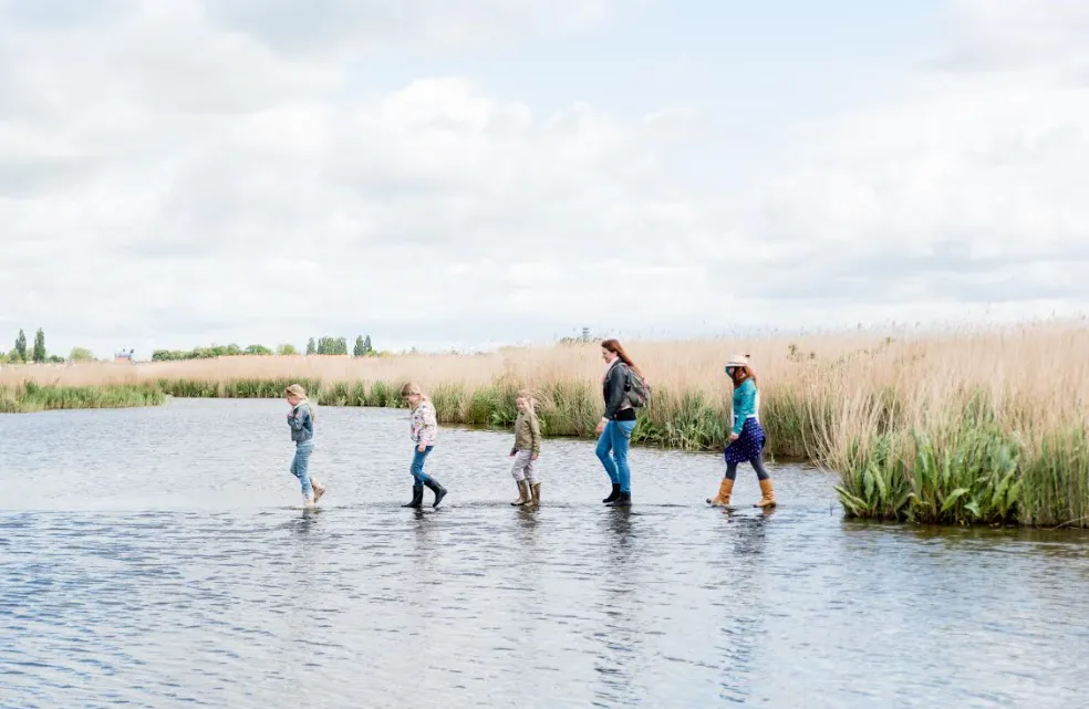 screenshot 20230516 133745