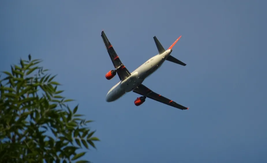 screenshot 20230518 111017