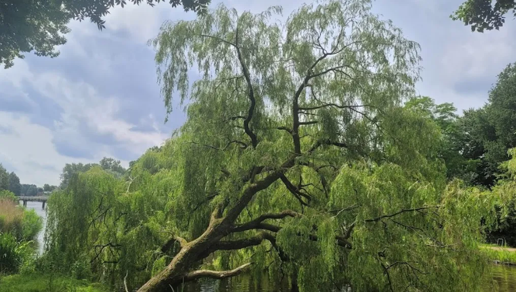 screenshot 20230519 113749