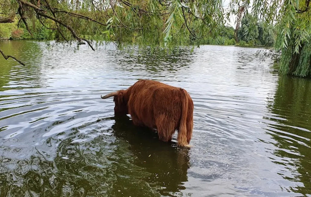 screenshot 20230524 113536