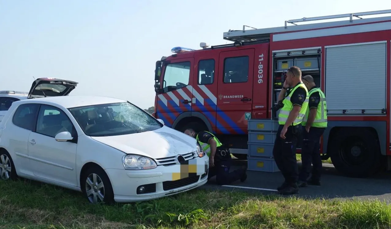 screenshot 20230609 125240