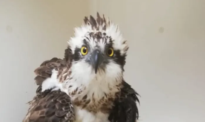 screenshot 20230611 140809