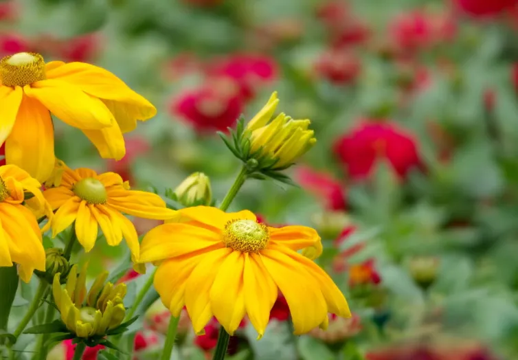 screenshot 20230612 151236