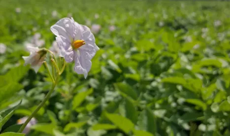 screenshot 20230612 175929