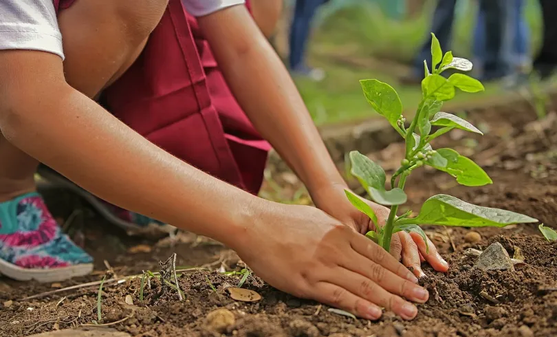 screenshot 20230614 113928