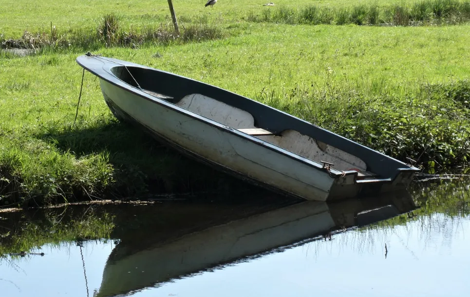 screenshot 20230619 111334