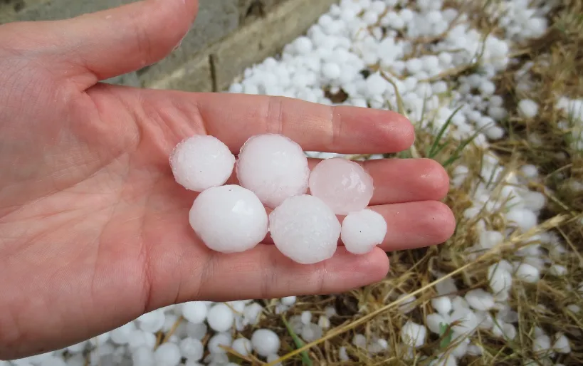 screenshot 20230620 101354