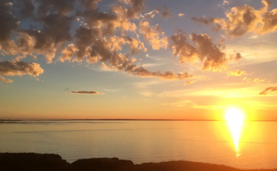 screenshot 20230625 102657