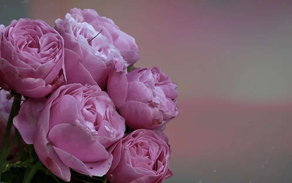 screenshot 20230703 095853