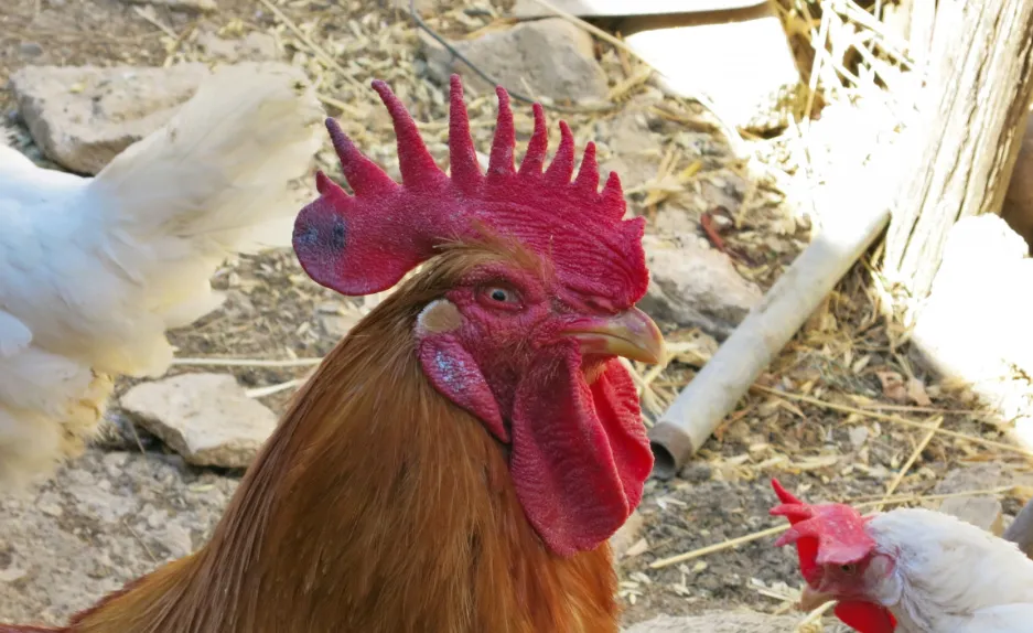 screenshot 20230707 111851