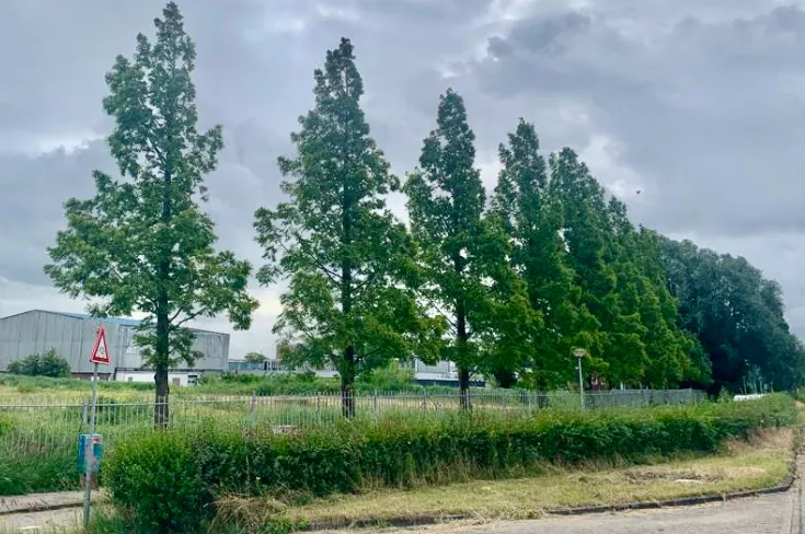 screenshot 20230712 125410