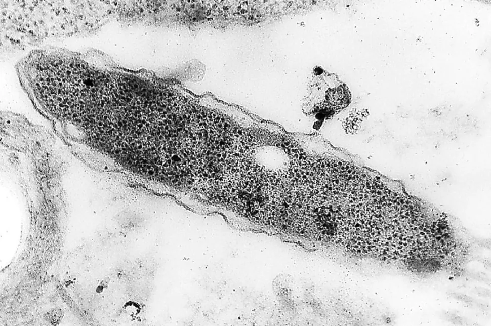 screenshot 20230713 114608