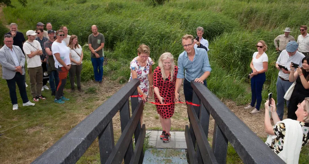 screenshot 20230717 105846