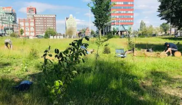 screenshot 20230719 125650