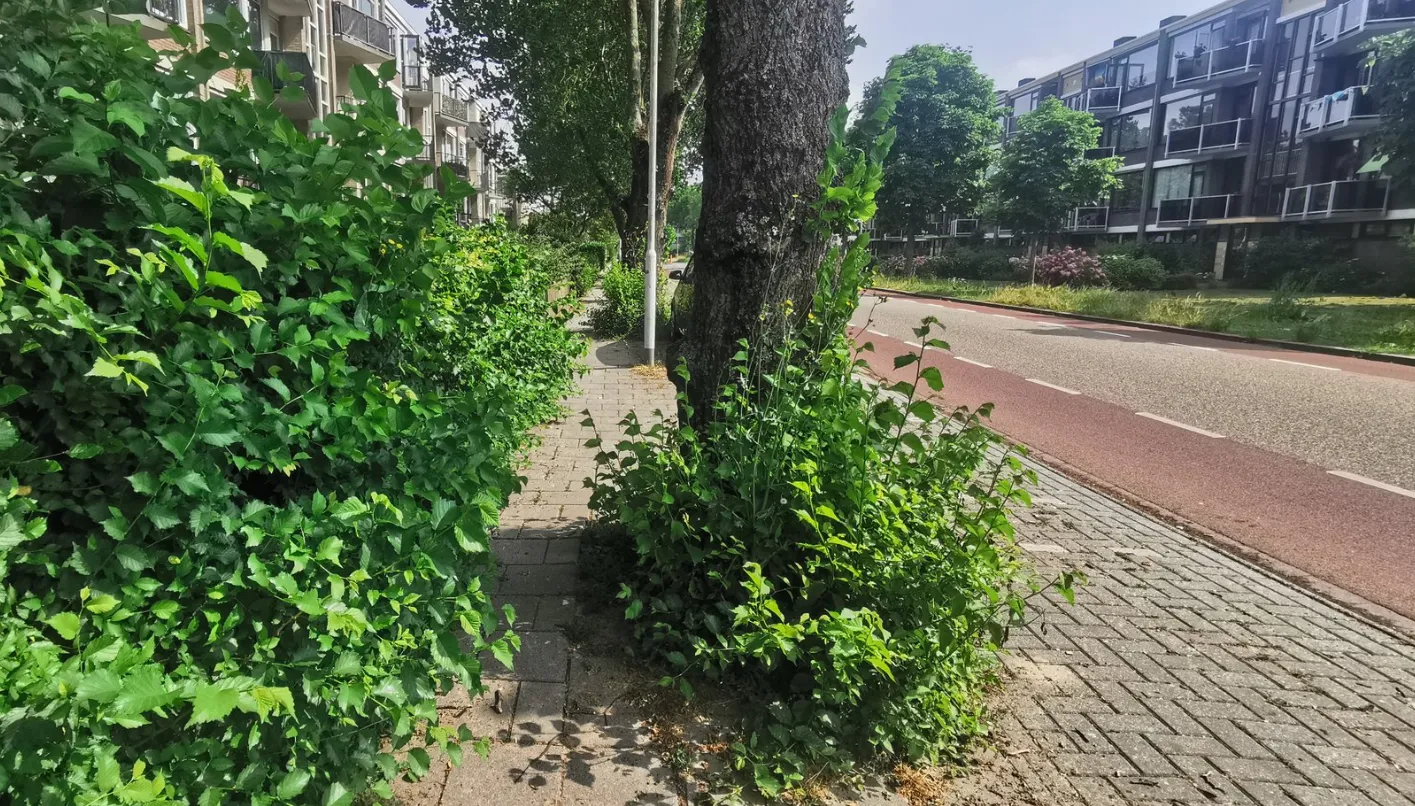 screenshot 20230720 082538