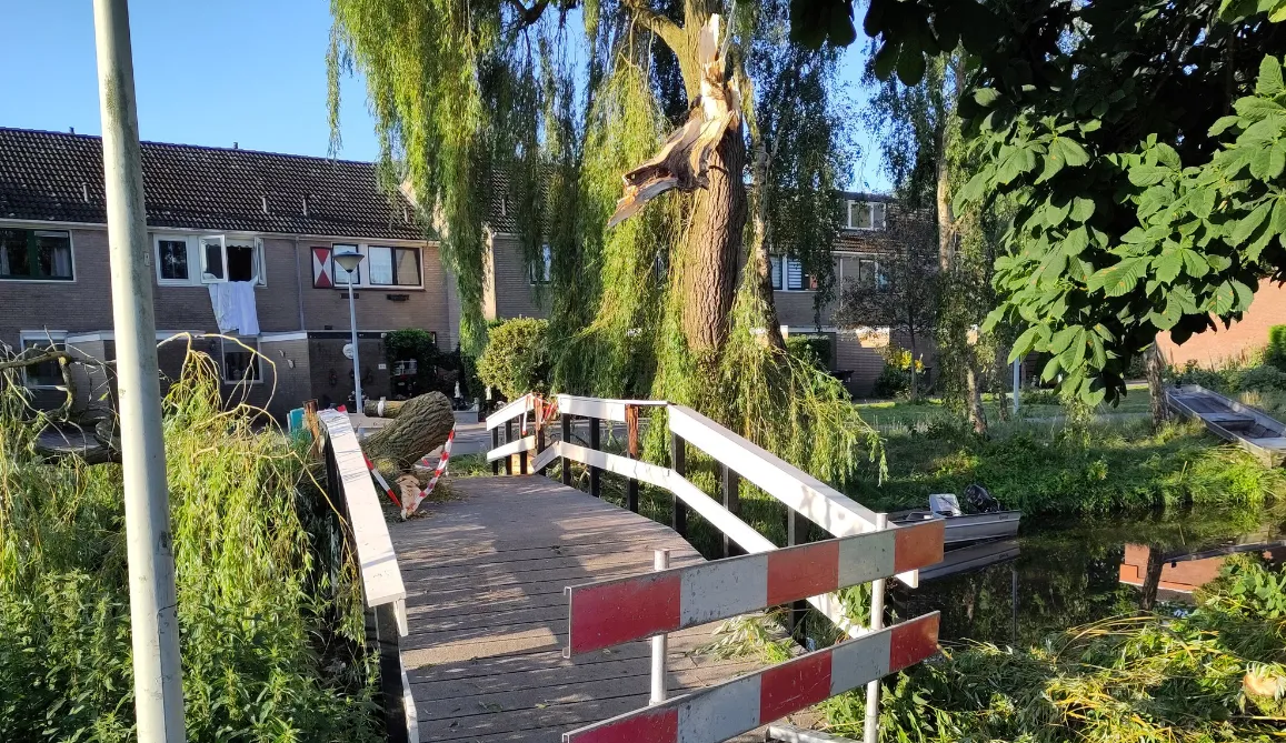 screenshot 20230722 123951