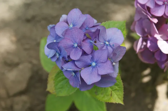 screenshot 20230724 104908