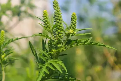 screenshot 20230801 130047