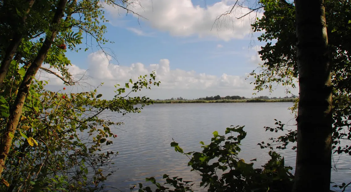 screenshot 20230810 104530