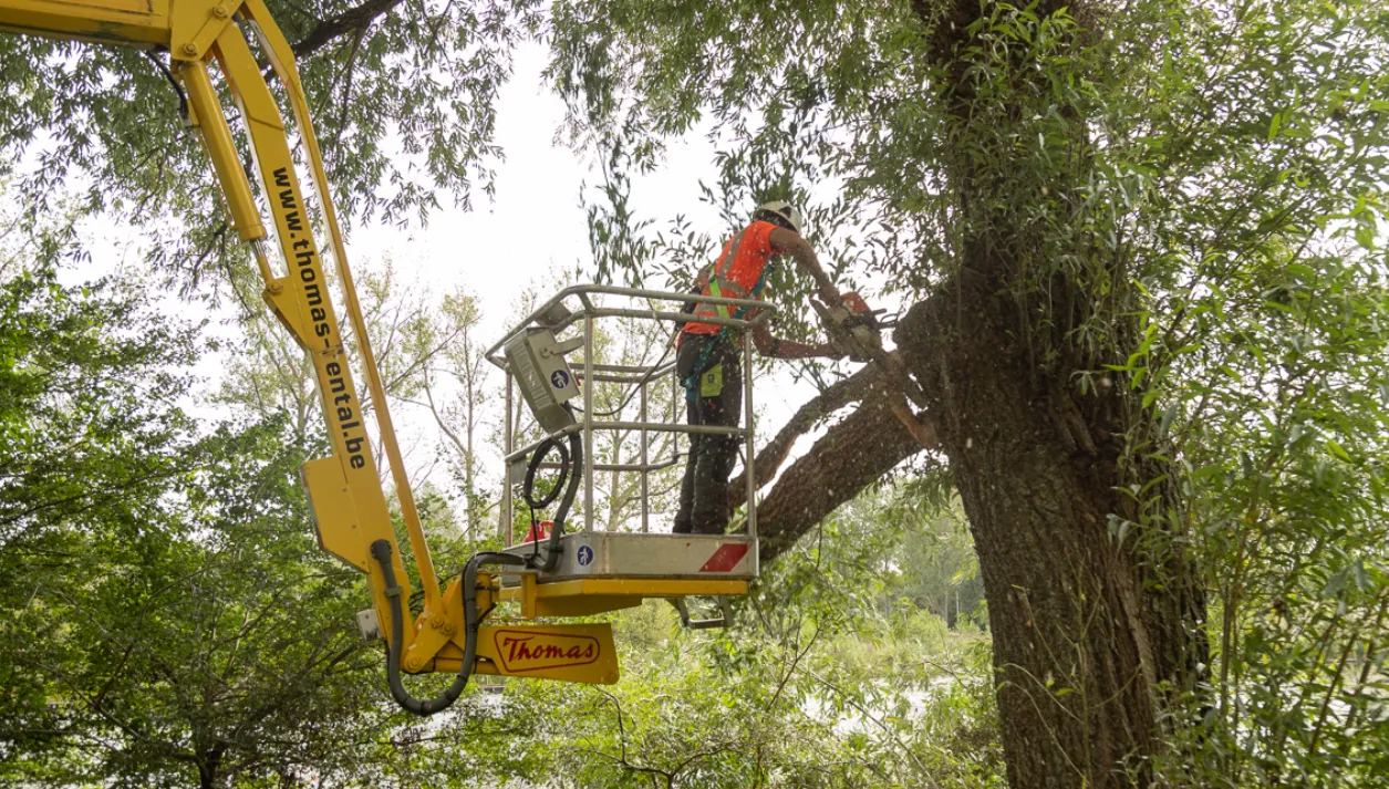 screenshot 20230829 091344