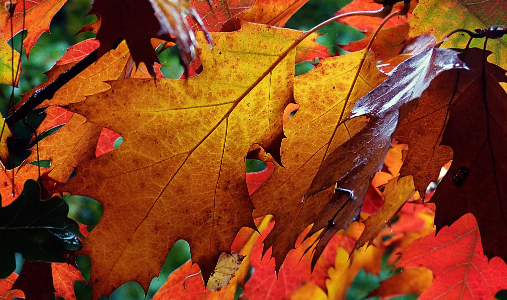 screenshot 20231001 104354