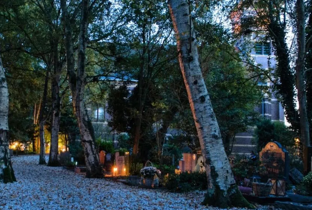 screenshot 20231012 170422