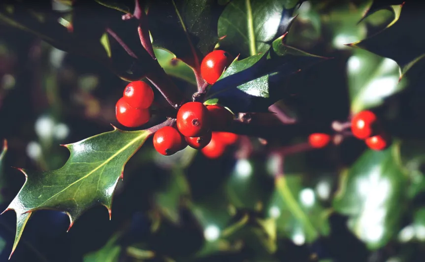 screenshot 20231025 093116