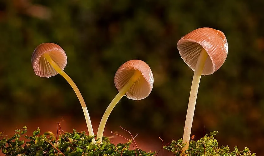 screenshot 20231026 160622