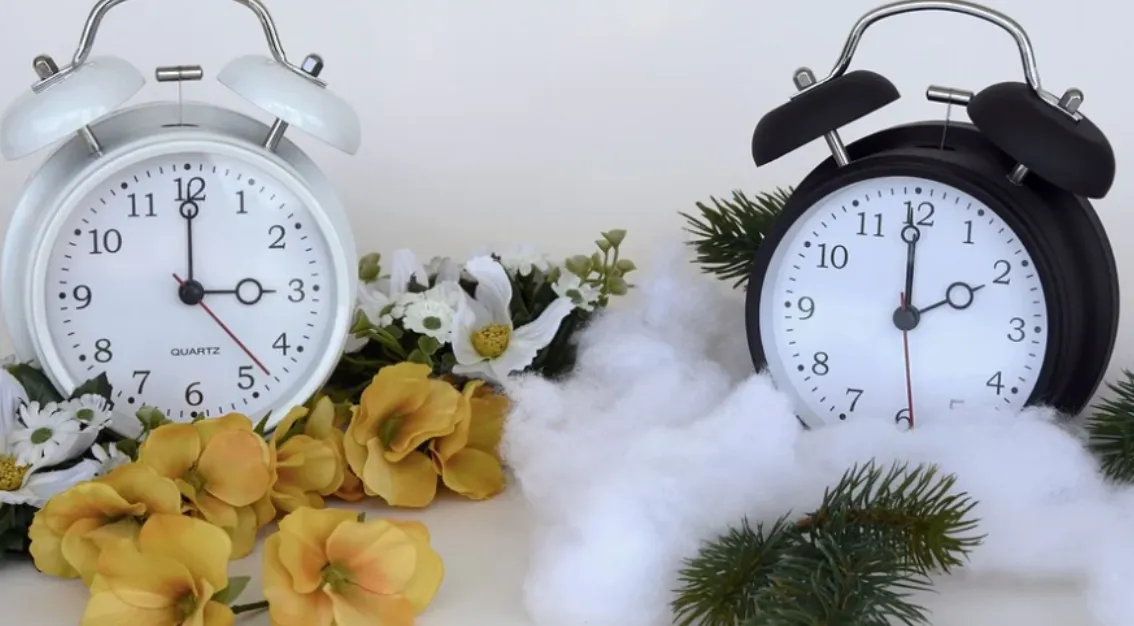 screenshot 20231027 115316