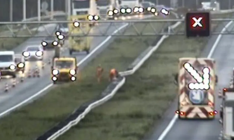 screenshot 20231108 083248