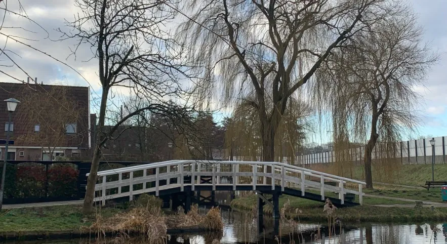 screenshot 20231127 152532