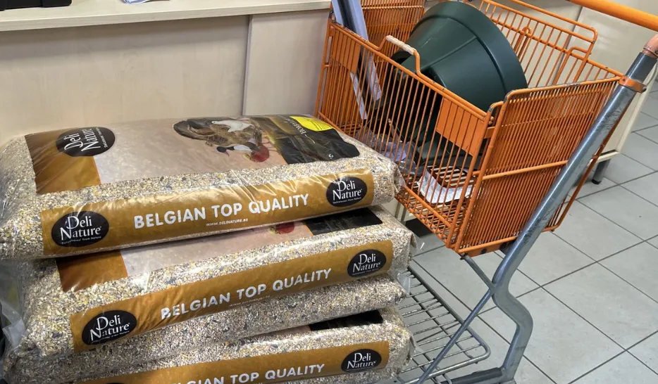 screenshot 20231204 084633