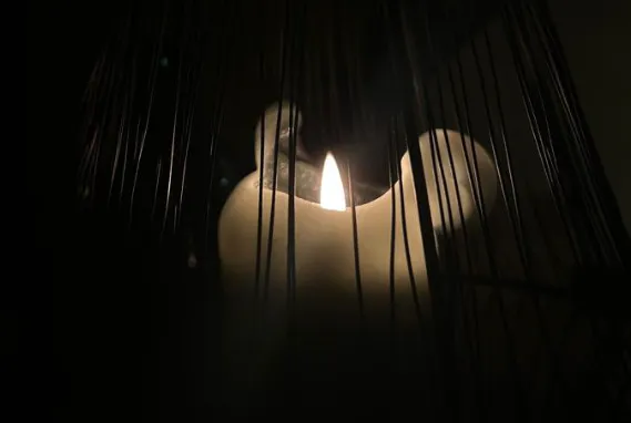 screenshot 20231211 085041