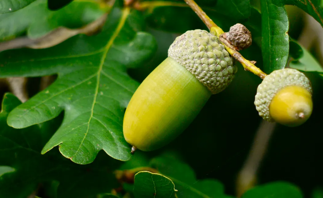 screenshot 20231219 082358