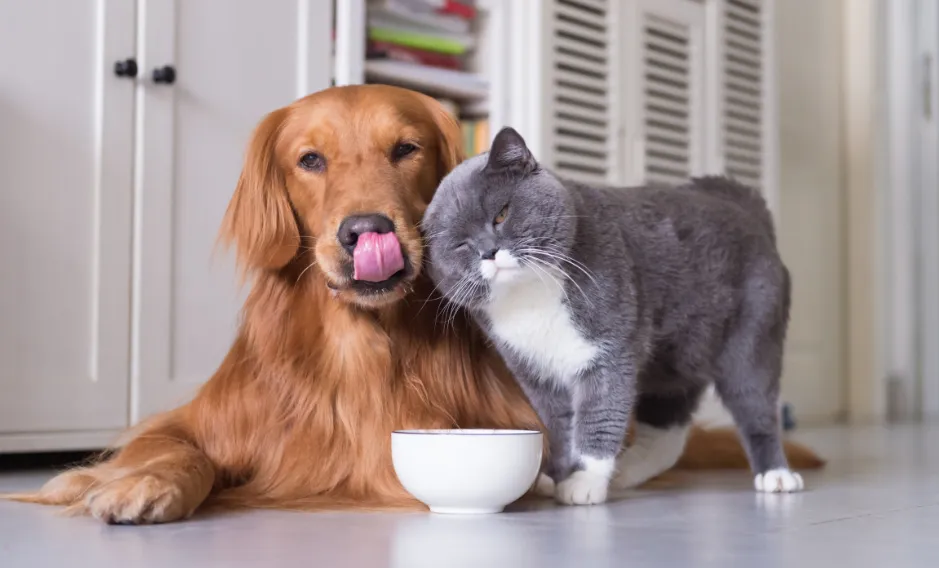 screenshot 20240102 091811