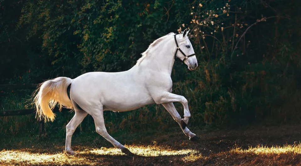 screenshot 20240104 112411