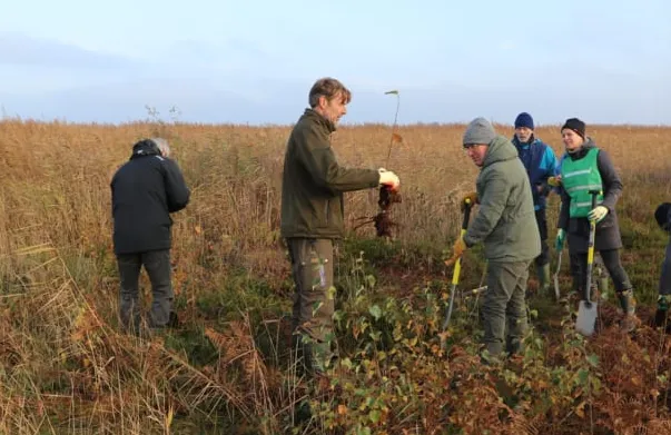 screenshot 20240105 105921