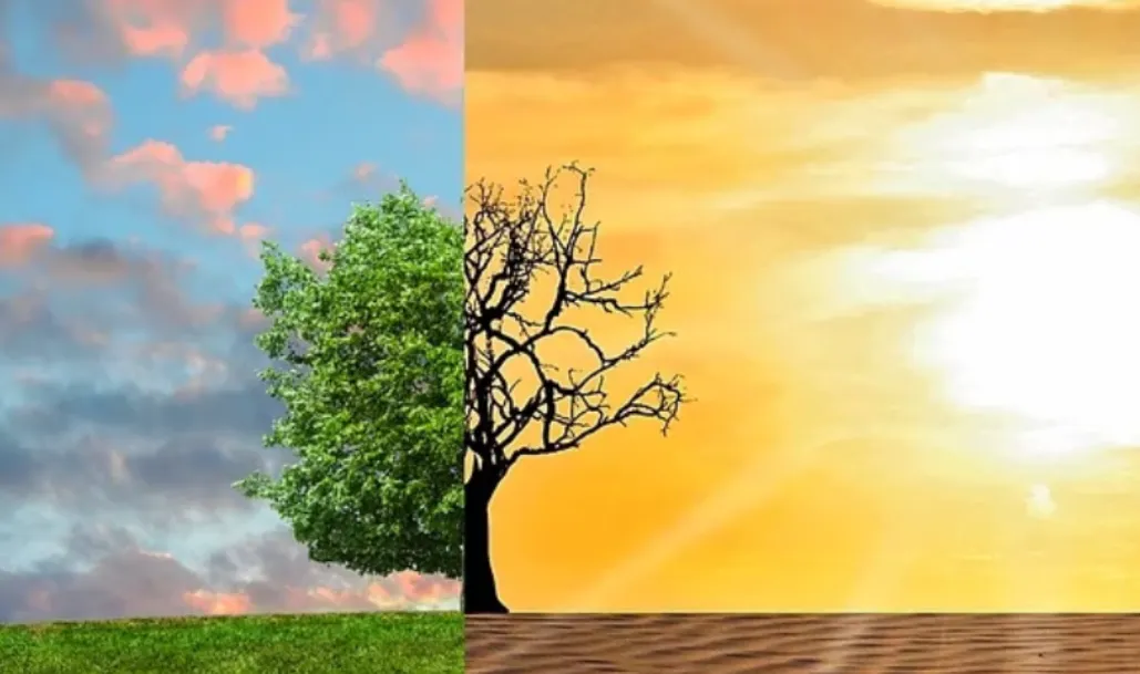 screenshot 20240114 112715