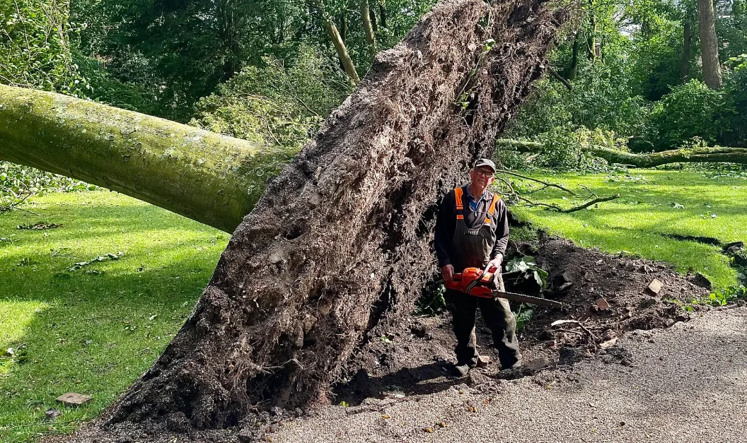 screenshot 20240115 122955