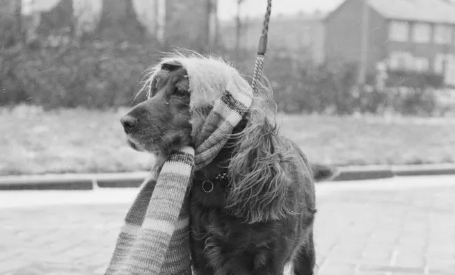 screenshot 20240117 142950