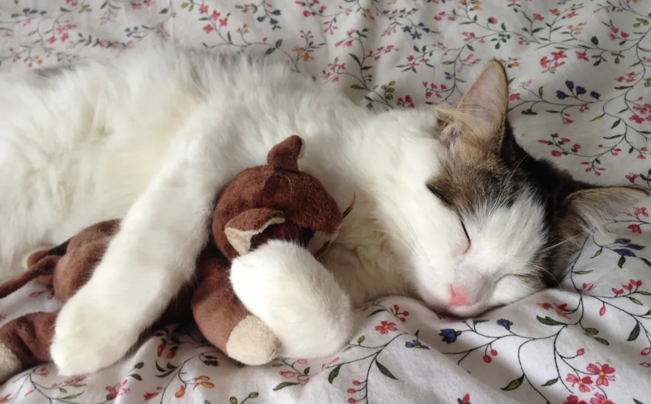 screenshot 20240127 082658