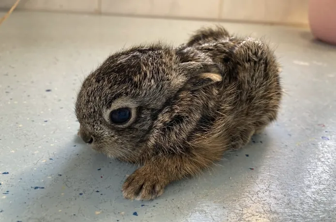 screenshot 20240205 102304