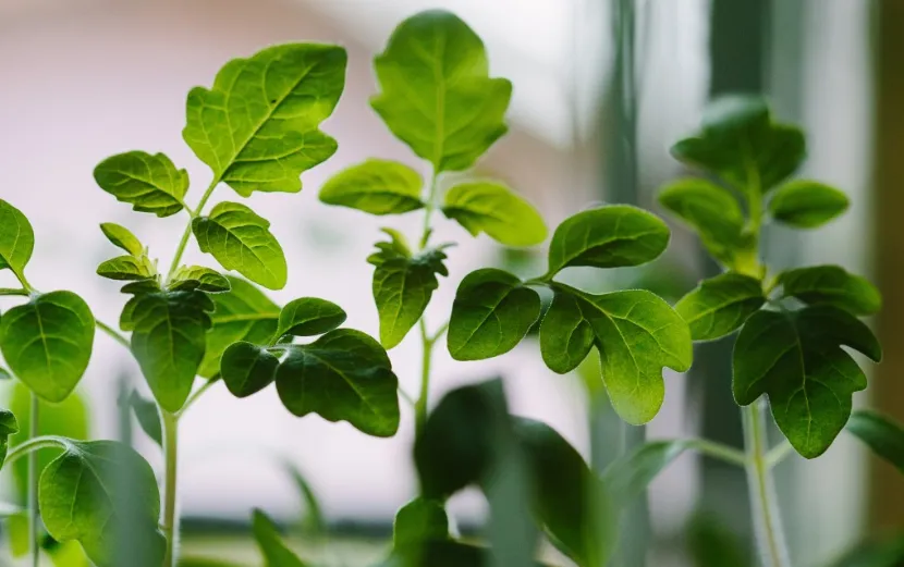 screenshot 20240219 103436