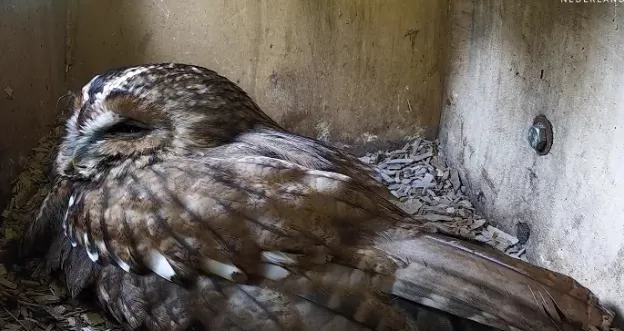 screenshot 20240225 131719