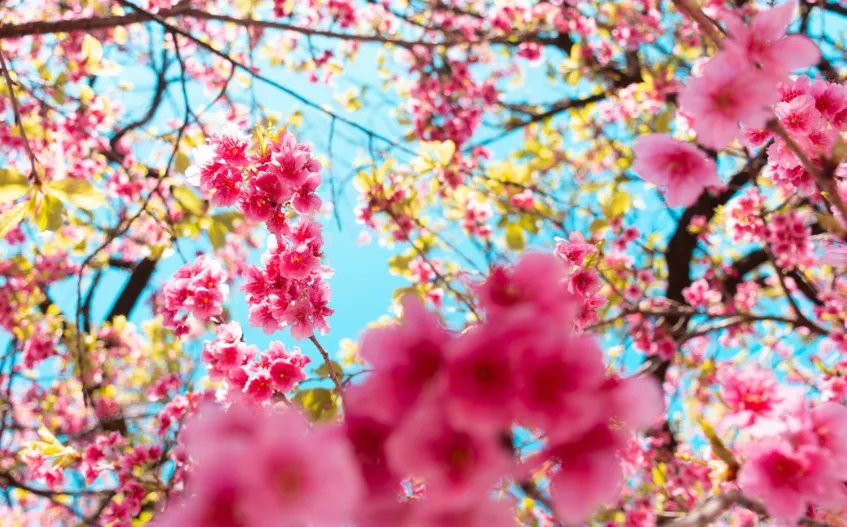 screenshot 20240317 095414