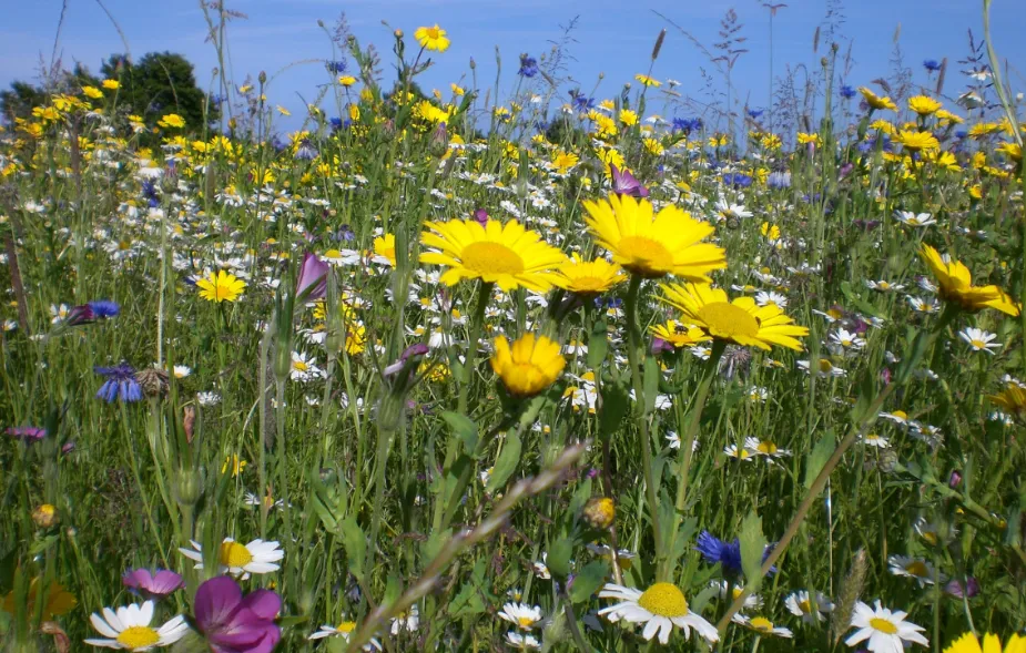 screenshot 20240408 140125