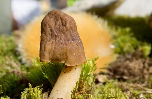 screenshot 20240410 124544