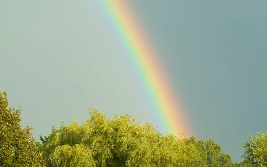 screenshot 20240414 113609