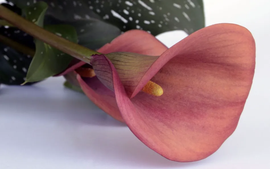 screenshot 20240614 141443